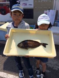 釣り公園イワシ大漁！ サビキでびっくりアイ…