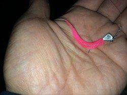 南芦屋浜でタケノコメバル、シーバスはエラ洗いで痛恨のバラシ・・・