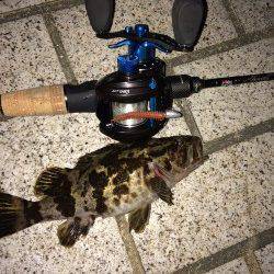 タケノコメバルが一投一匹の入れ食いでした！