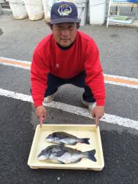 マリーナシティ海釣り公園 ぶっこみのチヌ良…