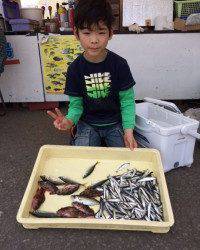 イワシ・アジ・サバ・ガシラ・アコウでおみやげいっぱい！