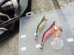 スルメイカ新子を求め南芦屋浜ライトエギング、痛恨のバラシ！