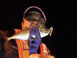 大阪でのアジング釣果〜ポイント探しに苦労しました