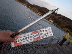 とっとパーク小島、サビキで良型メバル