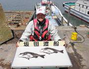 黒島の磯で45cmのチヌ2枚