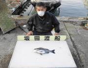 黒島の筏　コーンをエサにチヌの釣果