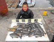 黒島の磯アイゴ好釣果、鷹島のカンドリではグ…