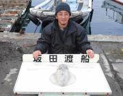 黒島の磯でアオリイカ2.0kg☆春イカ第一…