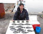 黒島の磯のチヌ、鷹島のカンドリのグレ釣果