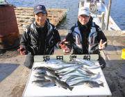 黒島の磯でチヌ、鷹島のカンドリでグレ・サヨリ