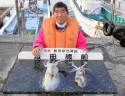 黒島の磯　ヤエン釣りでアオリイカ2.2kg…