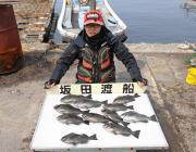 黒島の磯でアイゴ、鷹島のカンドリでグレの釣果