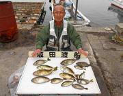 黒島の磯でアイゴ、鷹島のカンドリでグレの釣…