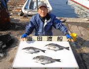 黒島の磯でチヌ40UP3枚