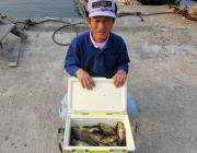 32cmまでを50匹！ 黒島の磯でさけかす…