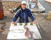 黒島の磯のエギングでアオリイカ2.0kg！…