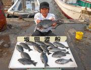 鷹島のカンドリで磯フカセ釣りのグレ好釣！