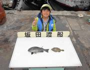 衣奈、黒島の磯でフカセ　バリコ、アイゴ、グレ、カワハギ