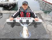 黒島の磯でのエギング釣果、カラーはレッド