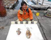 黒島の磯エギングとヤエンでアオリ釣果あり