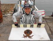 黒島の磯エギングとヤエンでアオリ釣果あり