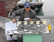 グレ絶好調！ 鷹島のカンドリのフカセ釣り