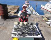 鷹島のカンドリ、フカセのグレ好調継続中です…