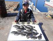 鷹島のカンドリ、フカセのグレ好調継続中です