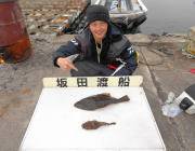 黒島の筏でマゴチ、黒島の磯でヒラメの釣果