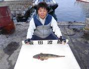 黒島の筏でマゴチ、黒島の磯でヒラメの釣果