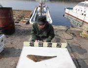 黒島の磯　のませでマゴチ55cm