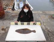黒島の筏ヒラメ55cm！ 黒島の磯ヒラメ5…
