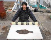 黒島の筏ヒラメ55cm！ 黒島の磯ヒラメ51cm！
