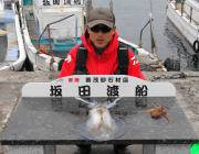 黒島の磯でのエギングでアオリイカ1.8㎏