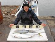 黒島の磯　エギングでアオリ2.0kg&am…