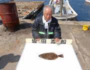 黒島の筏 のませ釣りでヒラメの釣果あり