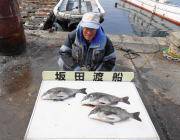 黒島の磯〜アナゴ75cmなどの釣果、ほか良型チヌも