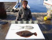 黒島の磯のヤエンでアオリイカ1.2kg、5…
