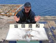 黒島の磯エギング釣果〜HITカラーはブルー…