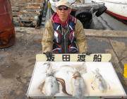 ヤエンのアオリイカ1.5kgのグッドサイズ…