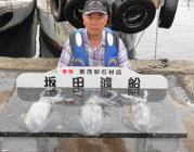 ヤエンのアオリイカ1.5kgのグッドサイズ♪　黒島の磯