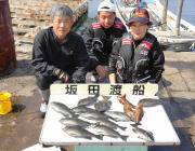 黒島の磯のグレ釣果