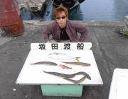 ルアーでハマチ50cm☆黒島の磯