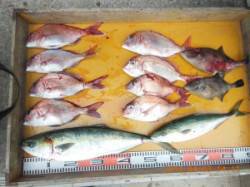 潮がそこそこ流れ、カゴ＆ふかせ釣り共に、マ…