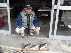 大磯でチヌ・グレ〜沖ノ島・地ノ島の磯フカセ釣果