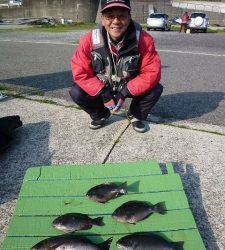 神谷沖一文字内向きのカゴ釣りでグレ&イサギ