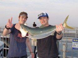 エレベーター式アジのませでメジロ73cm☆とっとパーク小島