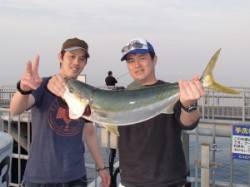 エレベーター式アジのませでメジロ73cm☆…