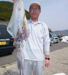 神谷一文字でアオリイカ1.6Kg☆昨年より約1ヶ月遅れの第一号