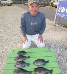 神谷沖一文字内向きにてグレ・イサギ・アイゴ・小アジなど